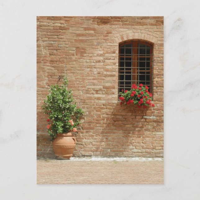 Tuscany pot plants postcard (Front)