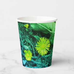 Tussilago farfara Coltsfoot Flowers  Paper Cups