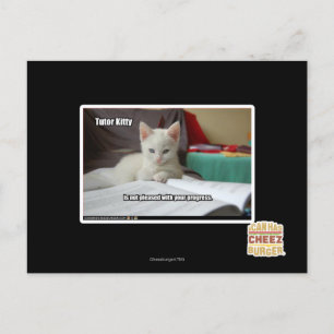 Tutor Kitty Postcard