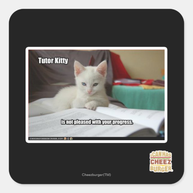 Tutor Kitty Square Sticker (Front)