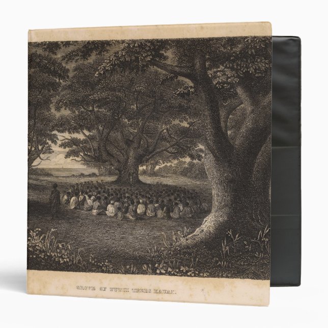 Tutui Trees, Hawaii Binder (Front/Inside)