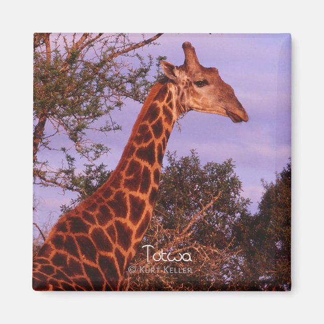 Tutwa, girafe en langue Setswana, Magnet (Devant)