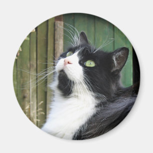 Tux - aimant rond de pouce de 2 ¼