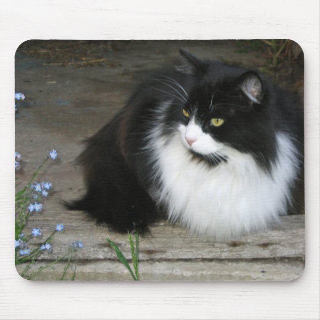Tux - Mousepad (Front)