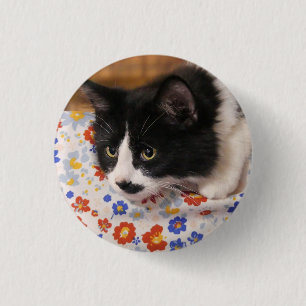 Tuxedo Cat 1 Inch Round Button