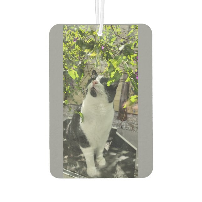 Tuxedo Cat Air Freshener (Back)