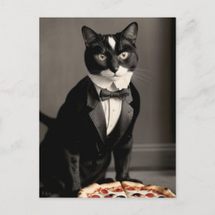 tuxedo cat and pizza postcard