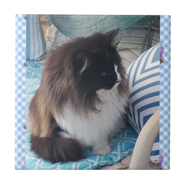 Tuxedo cat Black White Furry Cats Ceramic Tile (Front)