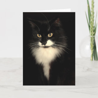 Tuxedo Cat Card