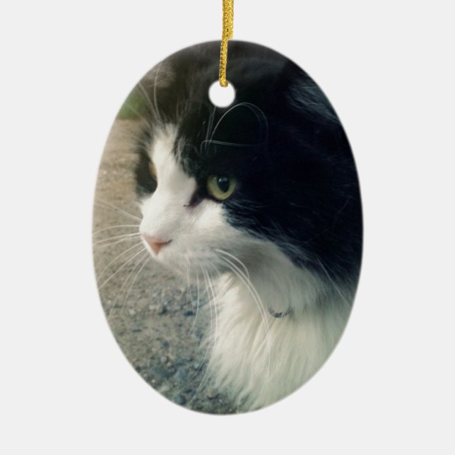 Tuxedo Cat Ceramic Ornament (Front)