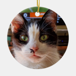 Tuxedo cat ceramic ornament