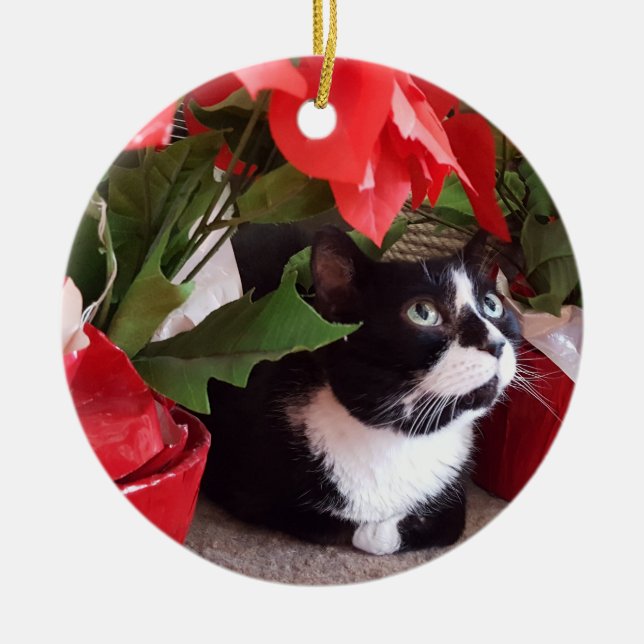 Tuxedo Cat Christmas Ornament (Front)