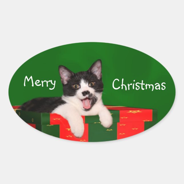 Tuxedo cat Christmas Oval Sticker (Front)