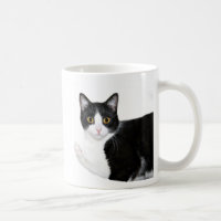 Tuxedo cat