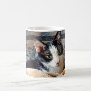 Tuxedo Cat Coffee Mug