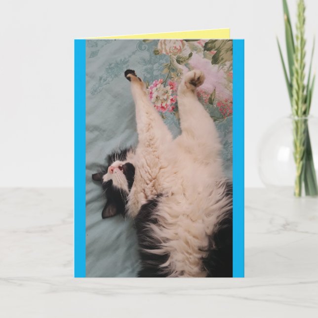Tuxedo Cat Cute Drôle Dormir Carte de Pétrage d'Ai (Devant)