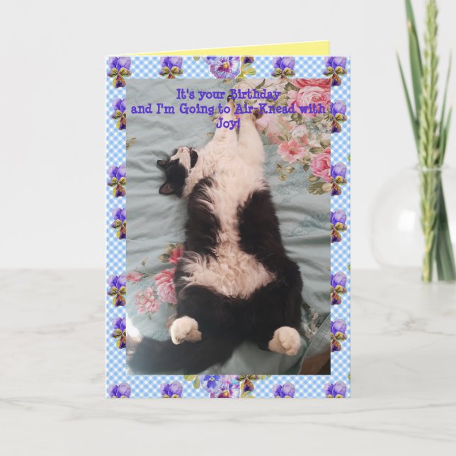 Tuxedo Cat Cute Funny Air Kneading Cats Viola Card (Front)