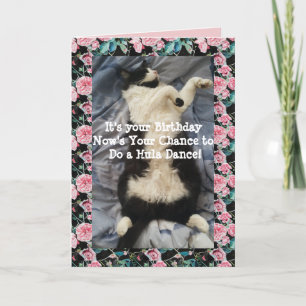 Tuxedo Cat Cute Funny Doing A Hula Dance Cats Card