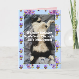 Tuxedo Cat Cute Funny Doing A Hula Dance Cats Card