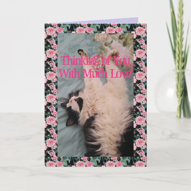 Tuxedo Cat Cute Funny Quote Air-Kneading Card (Front)