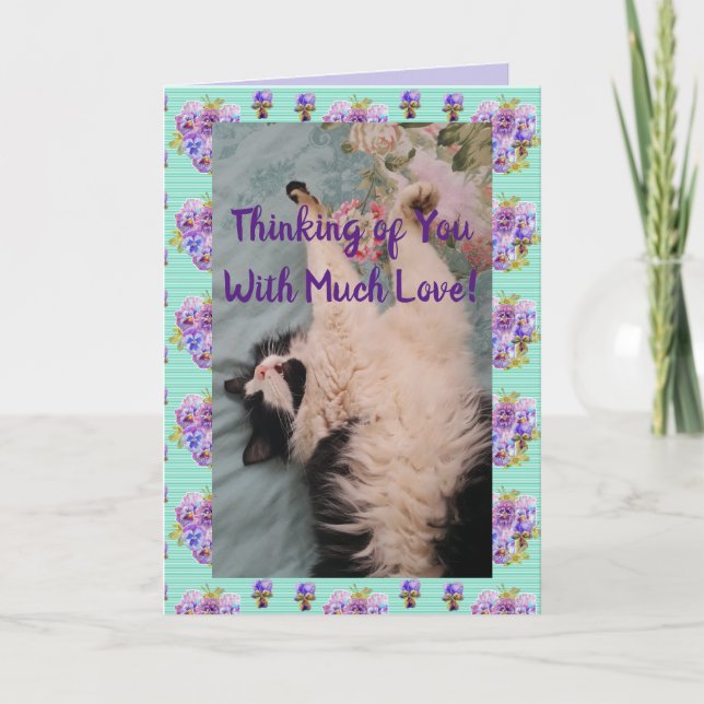 Tuxedo Cat Cute Funny Quote With Much Love Card (Front)