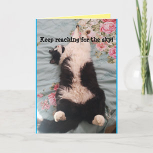 Tuxedo Cat Cute Funny Sleeping Cats Carte de pétri