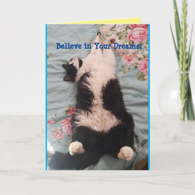 Tuxedo Cat Cute Funny Sleeping Cats Carte de pétri (Devant)