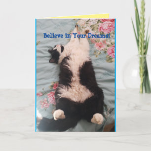 Tuxedo Cat Cute Funny Sleeping Cats Carte de pétri