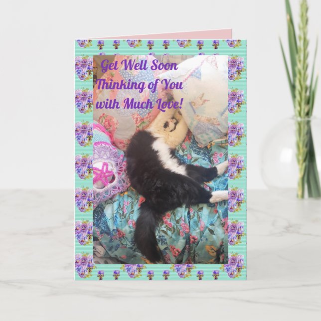 Tuxedo Cat Cute Funny Sleeping Cats Get Well Card (Front)