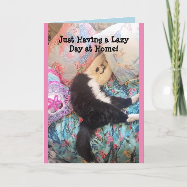 Tuxedo Cat Cute Funny Sleeping Cats Lazy Day Card (Front)