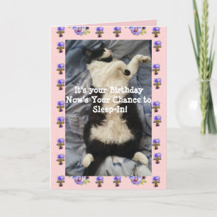 Tuxedo Cat Cute Funny Sleeping-In Cats Viola Card