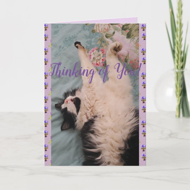Tuxedo Cat Cute Funny Thinking of You Card (Front)