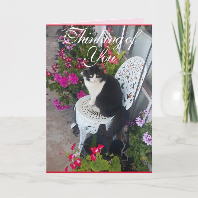 Tuxedo Cat Cute Pretty Flowers Cats Thinking Card (Front)