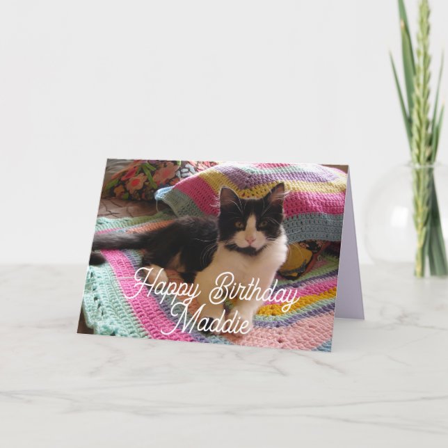 Tuxedo Cat Cute with Pretty Crochet Rug Card (Front)