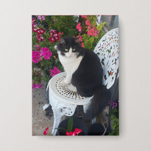 Tuxedo Cat Cute with Pretty Flowers Black Cats