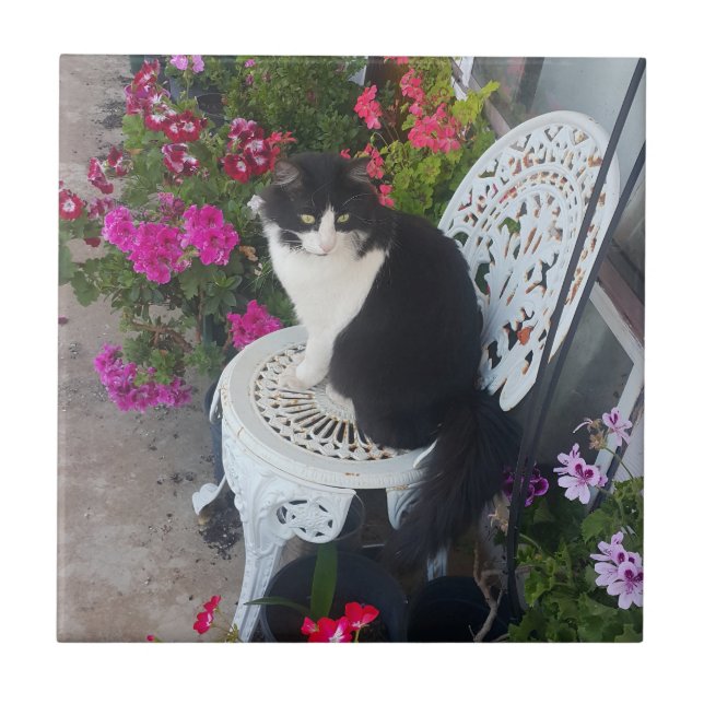 Tuxedo Cat Cute with Pretty Flowers Black Cats Tile (Front)