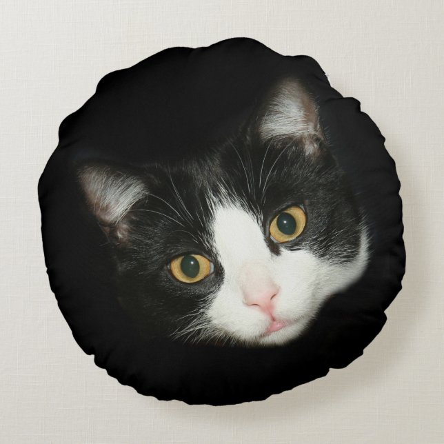 Tuxedo cat face round pillow (Back)