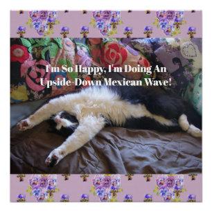 Tuxedo Cat Funny Cute doing a Mexican Wave Quote Poster