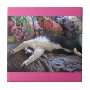 Tuxedo Cat Funny Mexican Wave Cute Birthday Tile