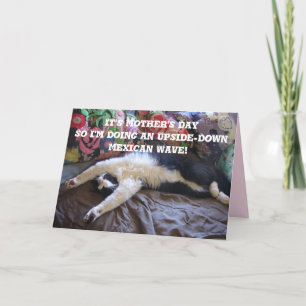 Tuxedo Cat Funny Mexican Wave Mothers Day Card