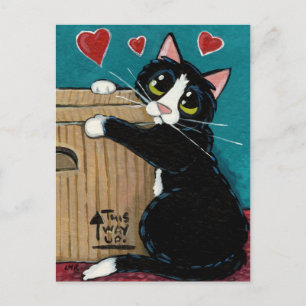 Tuxedo Cat in Love with Box Postcard