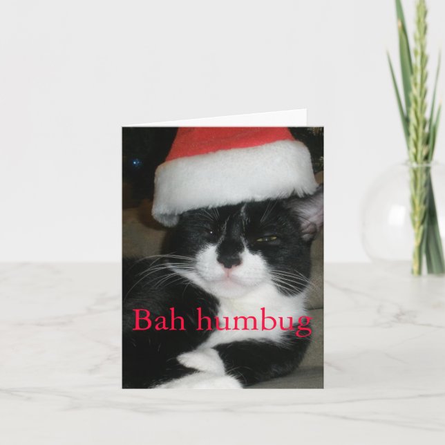 Tuxedo Cat in Santa Hat Holiday Card (Front)