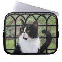 Tuxedo Cat in Window Painting Original Animal Art