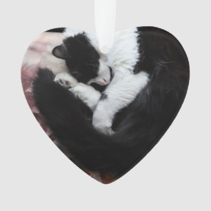 Tuxedo Cat Kitty Cats Black and White Caturday     Ornament