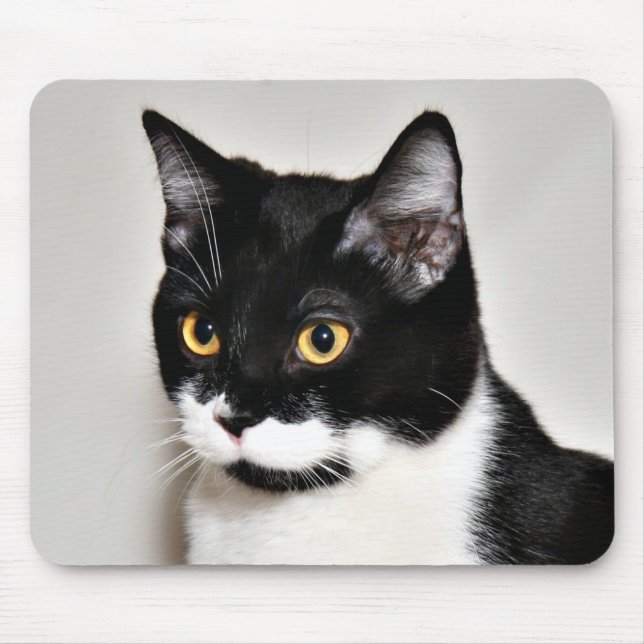 Tuxedo cat mouse pad (Front)