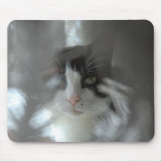 Tuxedo cat peering through branches mouse pad