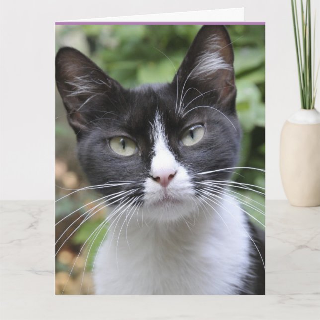 TUXEDO CAT PENSE À VOUS Cartes de voeux (Devant)