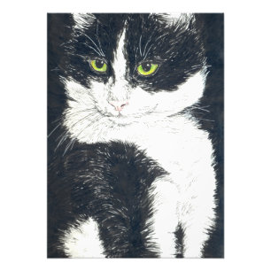 Tuxedo cat photo print