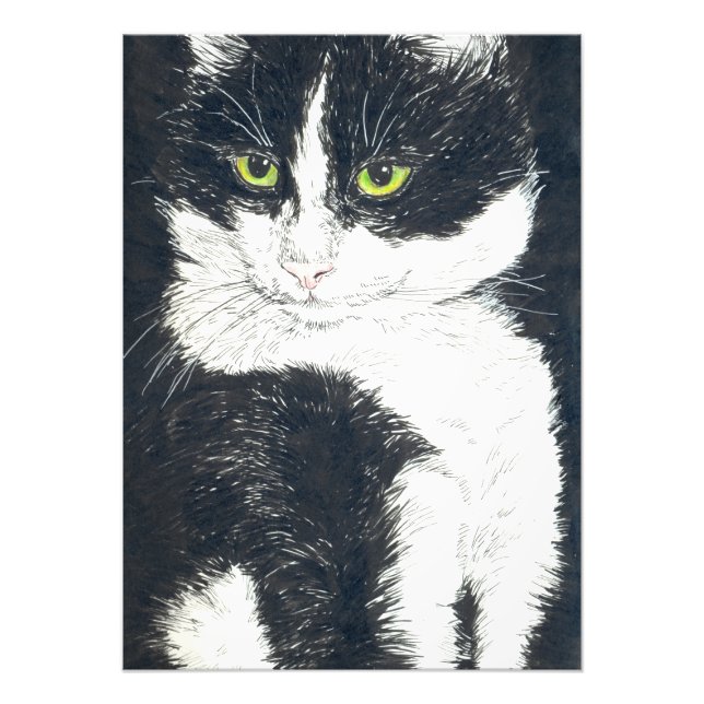 Tuxedo cat photo print (Front)