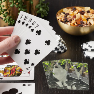 Tuxedo Cat  Playing Cards